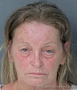 Mugshot of GENEVA GAY ELLWOOD booked in Hernando County, Florida on May 13, 2026