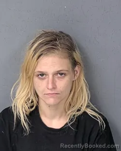 Mugshot of KYLEE ANN ELIZABETH BARE booked in Hernando County, Florida on May 14, 2026