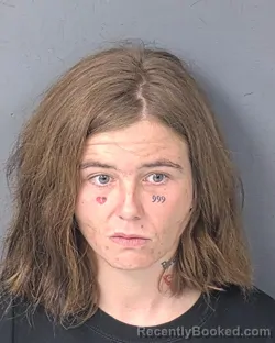 Mugshot of BLAZE MARIE BECK booked in Hernando County, Florida on May 14, 2026