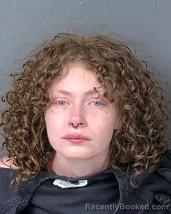 Mugshot of Nyisha Lee Valentin