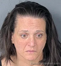 Mugshot of VICKI LYNN GERMINO booked in Hernando County, Florida on May 19, 2026