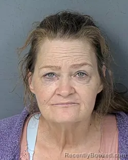 Mugshot of CAROL ANN LONGENETTE booked in Hernando County, Florida on May 19, 2026