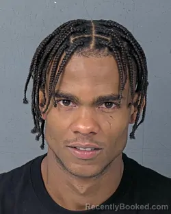 Booking photo from Hernando County, Florida