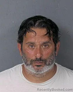 Mugshot of DIMITRIOS KLONARIDIS booked in Hernando County, Florida on June 7, 2026