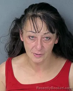 Mugshot of JANARA FAYE ENGEL booked in Hernando County, Florida on June 7, 2026