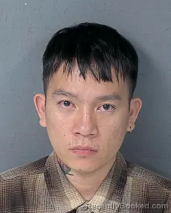 Mugshot of VIET TUAN TRUONG booked in Hernando County, Florida on June 8, 2026