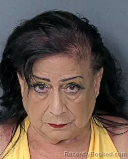 Mugshot of ROSALYN NEGRON booked in Hernando County, Florida on June 20, 2026