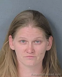 Mugshot of AMANDA CHRISTINE BOYD booked in Hernando County, Florida on June 20, 2026