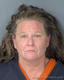 Mugshot of HEATHER RENEA FOX booked in Hernando County, Florida on June 22, 2026