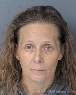 Mugshot of SOMMER MICHELE CROSS booked in Hernando County, Florida on June 23, 2026