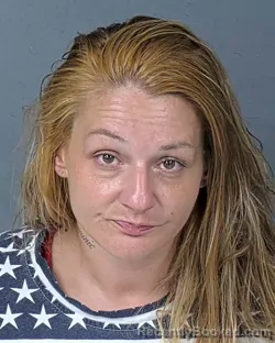 Mugshot of TIFFANY ANN ZINK booked in Hernando County, Florida on June 23, 2026