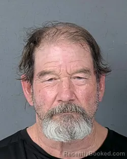 Mugshot of WILLIAM JERRY WARREN booked in Hernando County, Florida on June 24, 2026