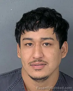 Mugshot of JORGE ALE ROMERO booked in Hernando County, Florida on June 25, 2026