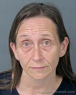 Mugshot of CAPPUCCINA LOUISE LOWREY booked in Hernando County, Florida on June 25, 2026