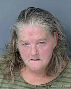 Mugshot of STEPHANIE WHIDDEN booked in Hernando County, Florida on June 27, 2026