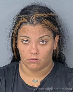 Mugshot of LESLIE RIVERA booked in Hernando County, Florida on June 28, 2026