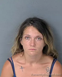 Mugshot of AMY ELIZABETH MCDONALD booked in Hernando County, Florida on June 28, 2026