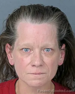 Mugshot of MARJORIE ANN OBRIEN booked in Hernando County, Florida on June 29, 2026