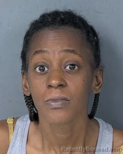 Mugshot of LYNNESHA MICHELLE SANDERS booked in Hernando County, Florida on June 29, 2026