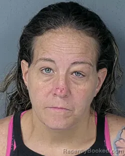 Mugshot of LISA KATHERINE NOLAN booked in Hernando County, Florida on June 29, 2026