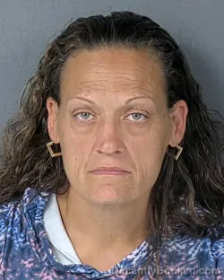 Mugshot of FARRAH SHALON HILL booked in Hernando County, Florida on June 30, 2026