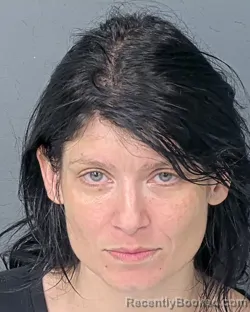 Mugshot of ALISHA ALINE JOSEPH booked in Hernando County, Florida on July 1, 2026