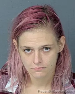 Mugshot of KYLEE ANN ELIZABETH BARE booked in Hernando County, Florida on July 1, 2026
