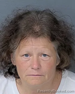 Mugshot of AUDREY RUTH PERRINE booked in Hernando County, Florida on July 1, 2026