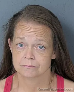 Mugshot of RITA MARIE VALINSKI booked in Hernando County, Florida on July 1, 2026