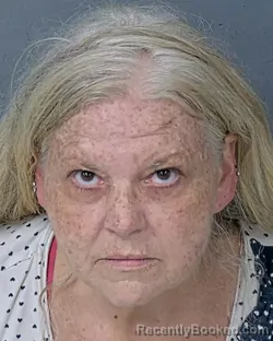 Mugshot of MELISSA KAY GORDON booked in Hernando County, Florida on July 1, 2026
