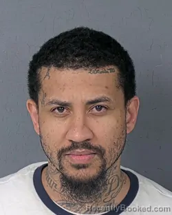 Mugshot of TYLER ANTHONY DEVANEY booked in Hernando County, Florida on July 1, 2026