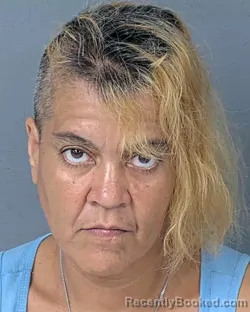 Mugshot of JACLYN FLEITES booked in Hernando County, Florida on July 1, 2026