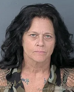 Mugshot of DORINDA HAMILTON WOOD booked in Hernando County, Florida on July 2, 2026