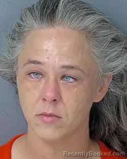 Mugshot of ELIZABETH ANN BROOKS booked in Hernando County, Florida on July 2, 2026