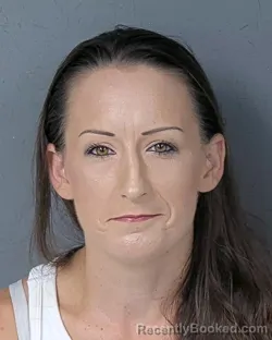 Mugshot of CHASSIDY NICHOLLE NAPIER booked in Hernando County, Florida on July 2, 2026
