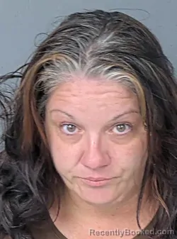 Mugshot of TARAANN ROMANO booked in Hernando County, Florida on July 3, 2026