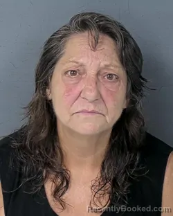 Mugshot of VICKY ANNE BRANNON booked in Hernando County, Florida on July 3, 2026