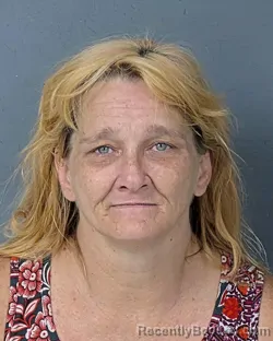 Mugshot of MARALYN PATRICIA HAMMERS booked in Hernando County, Florida on July 5, 2026