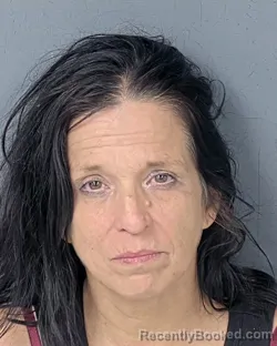 Mugshot of LISA KAY TANNER booked in Hernando County, Florida on July 6, 2026