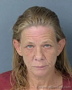Mugshot of LISA BARLENE FOREHAND booked in Hernando County, Florida on July 6, 2026
