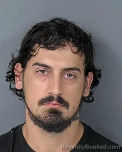 Mugshot of DAMIEN JOSE COLON booked in Hernando County, Florida on July 6, 2026