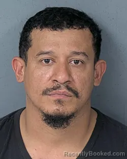 Mugshot of HECTOR ALEJANDRO ORTIZ GARAY booked in Hernando County, Florida on July 6, 2026