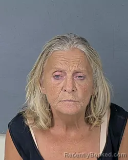 Mugshot of BRENDA FAYE SPRUILL booked in Hernando County, Florida on July 6, 2026