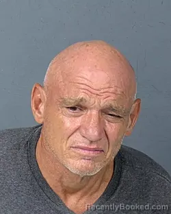 Mugshot of LARRY WINDELL ACHOR booked in Hernando County, Florida on July 7, 2026