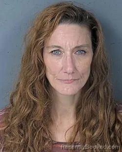 Mugshot of DANIELLE LYNN SHARAY booked in Hernando County, Florida on July 7, 2026