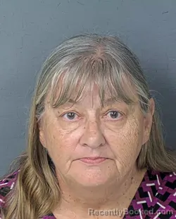 Mugshot of CYNTHIA KATHRINA WHITFIELD booked in Hernando County, Florida on July 8, 2026