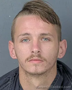 Mugshot of AUSTIN JOHN CERVINI booked in Hernando County, Florida on July 9, 2026
