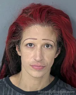Mugshot of JUSTINE MARIE PACE booked in Hernando County, Florida on July 9, 2026