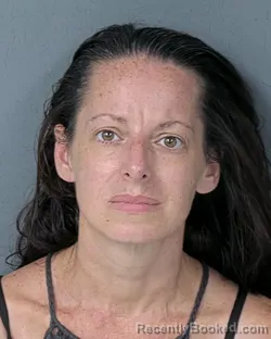 Mugshot of JESSICA ANNE HORKEY booked in Hernando County, Florida on July 9, 2026
