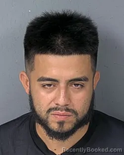 Mugshot of BRYAN ENRIQUE VILLAFUERTE ALVARENG booked in Hernando County, Florida on July 9, 2026